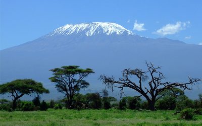 The Amboseli: A Spectacular Masterpiece of Beauty and wildlife